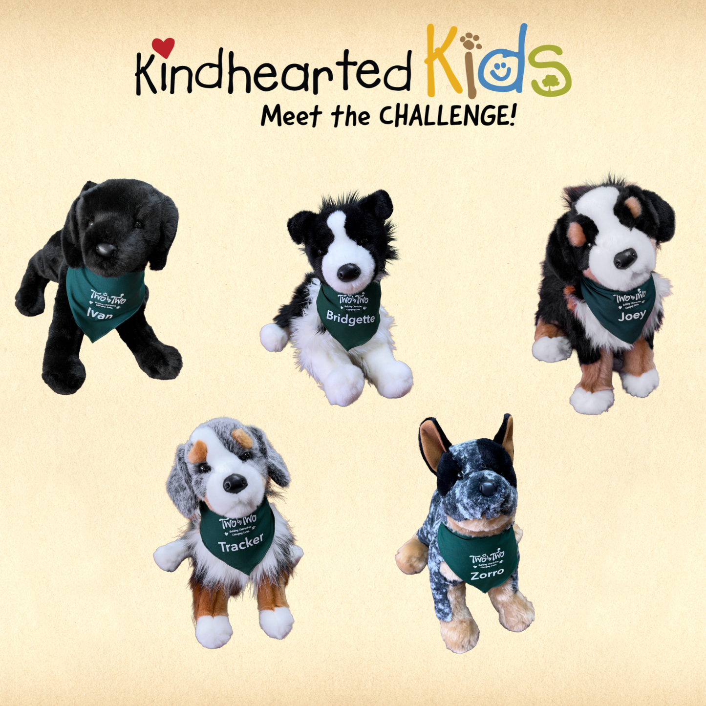 Kindhearted Kids Meet the Challenge Bundle